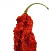Geoff vs. Bhut Jolokia