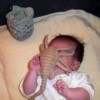 Xenomorphs